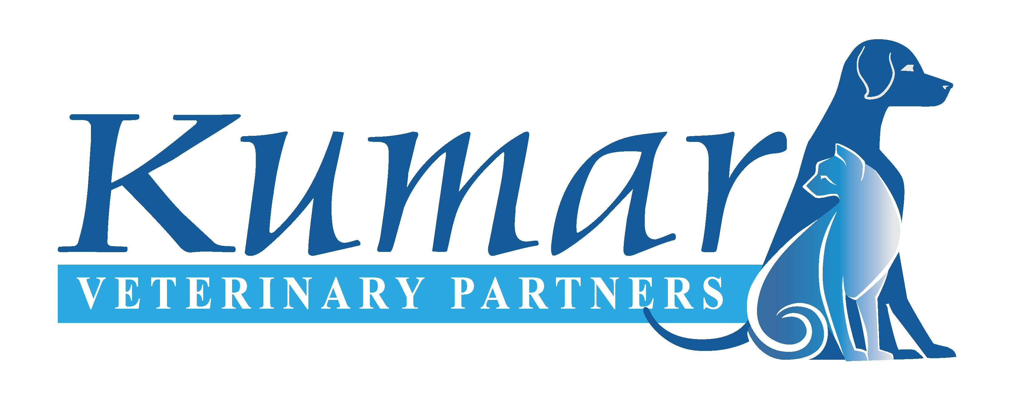 Kumar Veterinary Partners